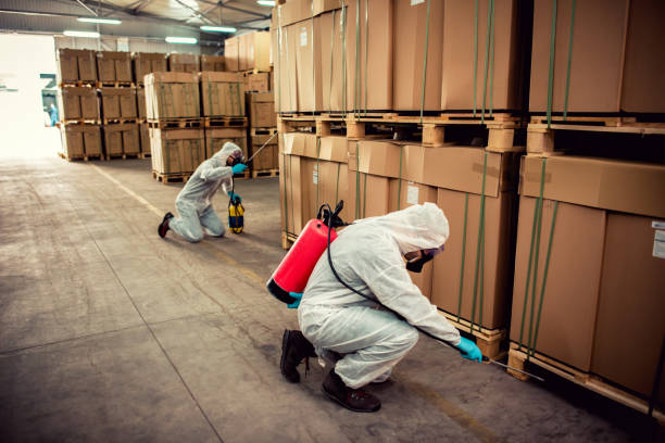 Best Ant Control Services  in Brown Station, MD