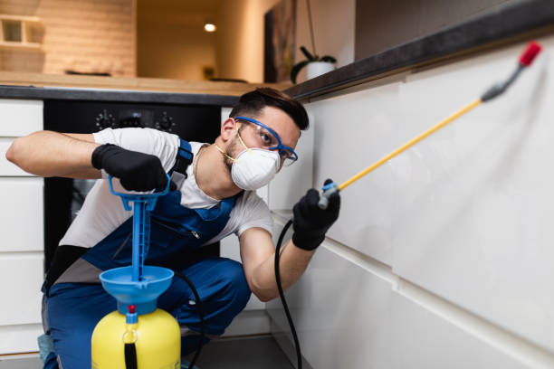 Best Affordable Pest Control Services  in Brown Station, MD