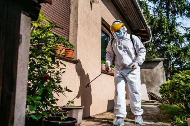 Best Rat Extermination Near Me  in Brown Station, MD