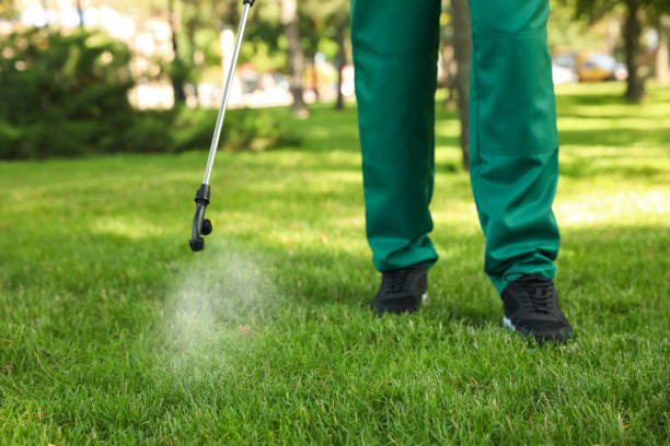Best Pest Control for Businesses  in Brown Station, MD
