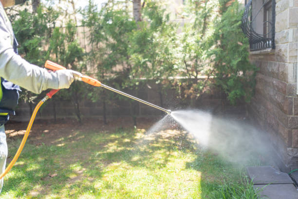 Best Affordable Pest Control Services  in Brown Station, MD