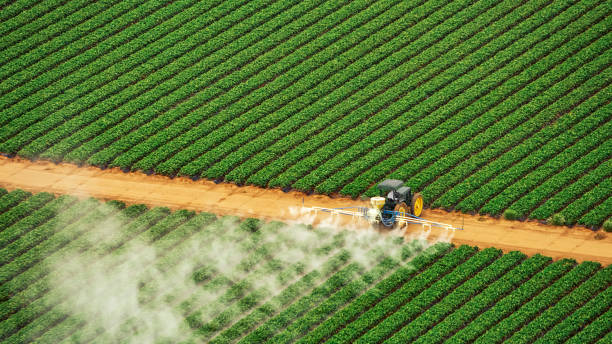 Professional Pest Control in Brown Station, MD