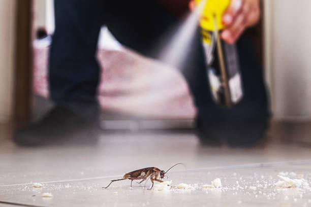 Best Pest Inspection Near Me  in Brown Station, MD