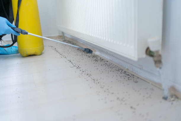Best Commercial Pest Control Services  in Brown Station, MD