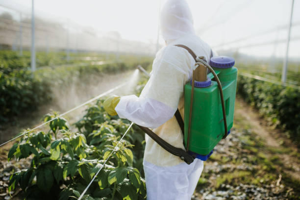 Best Pest Removal Services  in Brown Station, MD